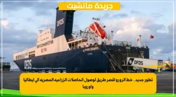 تطور جديد.. خط الرورو أقصر طريق لوصول الحاصلات الزراعية المصرية إلى إيطاليا وأوروبا 1